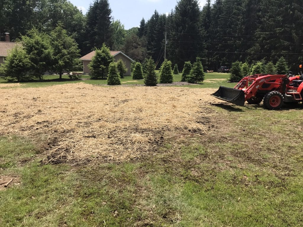 Professional Stump Grinding in Central Northwest Pennsylvania | Grumpy Grinding Stump Removal | stump removed on lawn