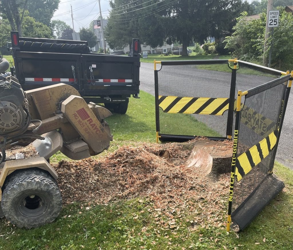 Professional Licensed And Insured Stump Removal in Central Northwest Pennsylvania | Stump removal near street