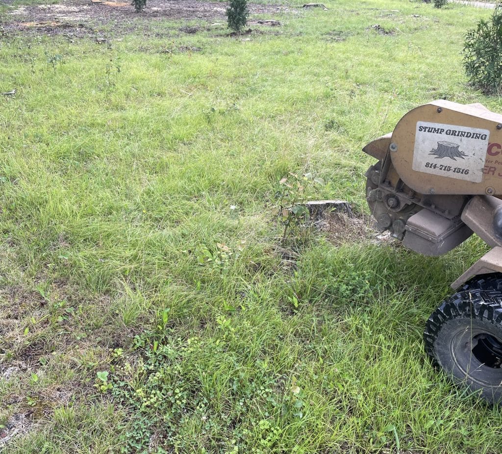 Trusted Licensed And Insured Stump Removal in Central Northwest Pennsylvania | Grass field stump removal and bulldozer