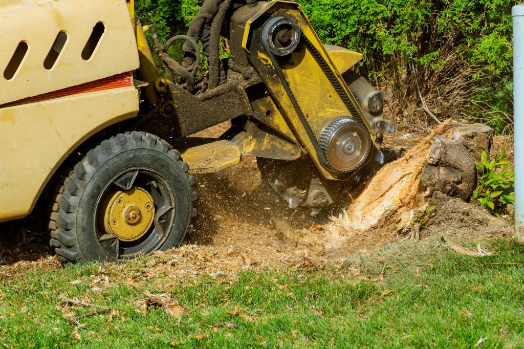 Stump Removal